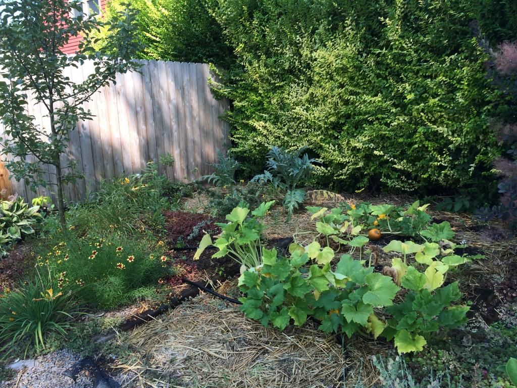  photo AA7A520C-5CB6-4031-B7EA-0D0105B48161.jpg